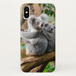 Koala mit Baby in einem Baum in Australien Case-Mate iPhone Hülle