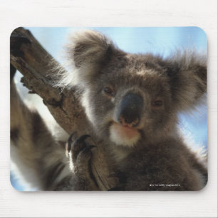 Koala Mousepad