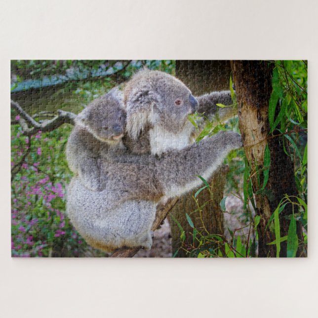 Koala-Mutter und Sohn (Horizontal)