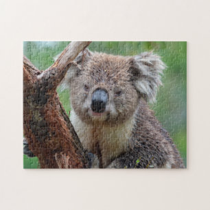 Koala Nah Up, Jigsaw Puzzle