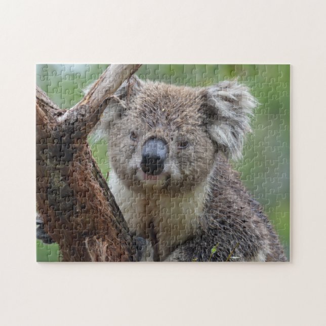 Koala Nah Up, Jigsaw Puzzle (Horizontal)