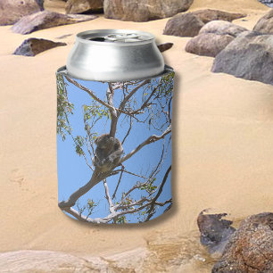 Koala Nickerchen Dosenkühler