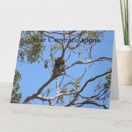 Koala Nickerchen Karte