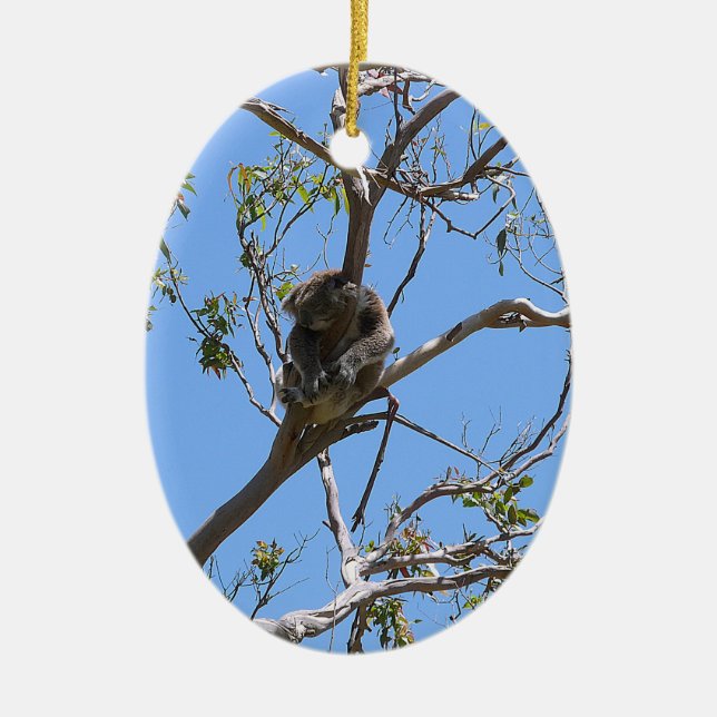 Koala Nickerchen Keramik Ornament (Vorne)