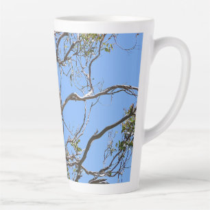 Koala Nickerchen Milchtasse