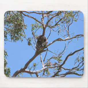 Koala Nickerchen Mousepad