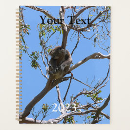 Koala Nickerchen Planer