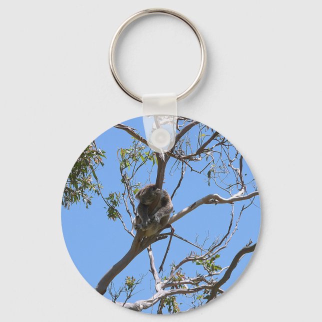 Koala Nickerchen Schlüsselanhänger (Vorderseite)