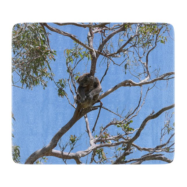 Koala Nickerchen Schneidebrett (Vorderseite)