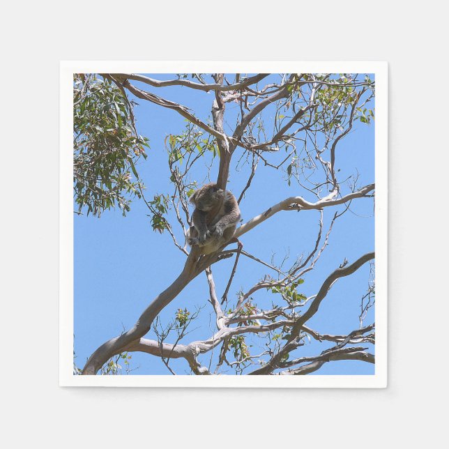 Koala Nickerchen Serviette (Vorderseite)