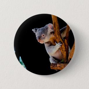 Koala Niedlich in Tree Gray Button