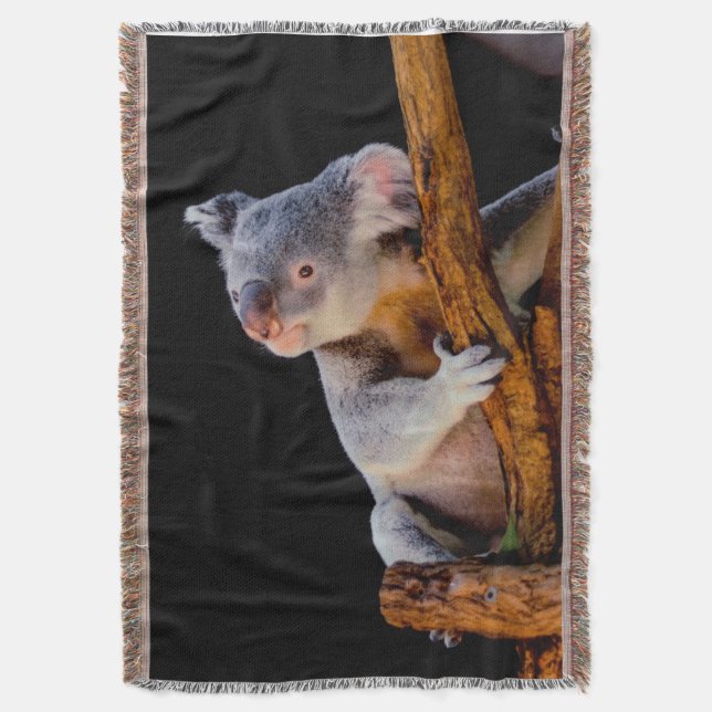 Koala Niedlich in Tree Gray Decke (Vorderseite Vertikal)