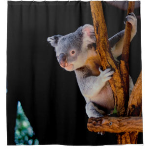 Koala Niedlich in Tree Gray Duschvorhang