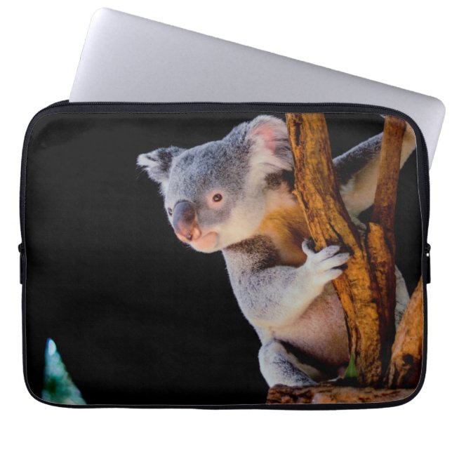 Koala Niedlich in Tree Gray Laptopschutzhülle (Vorderseite)