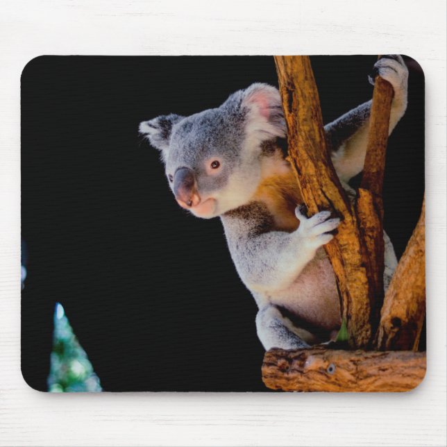 Koala Niedlich in Tree Gray Mousepad (Vorne)
