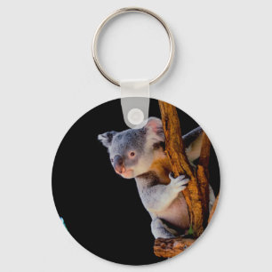 Koala Niedlich in Tree Gray Schlüsselanhänger