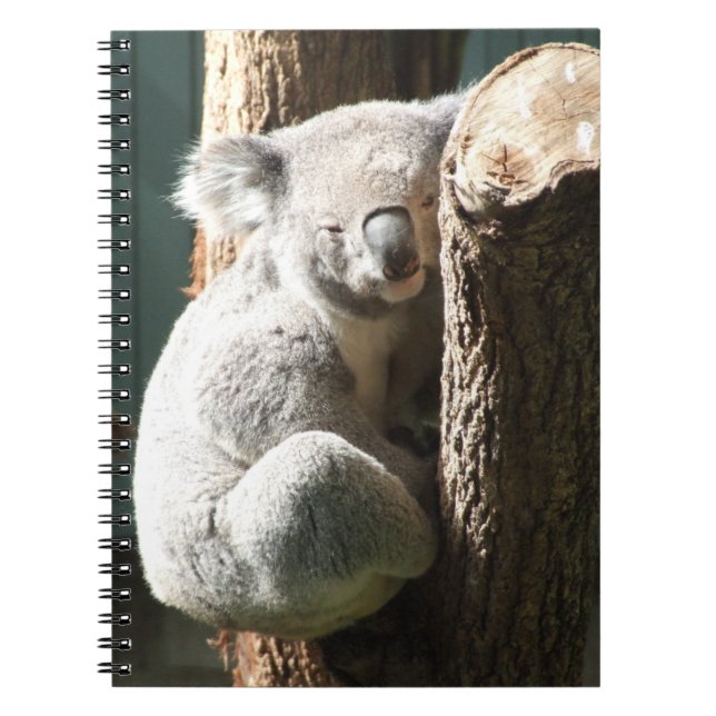 Koala-Notebook Notizblock (Vorderseite)