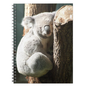 Koala-Notizbuch Notizblock