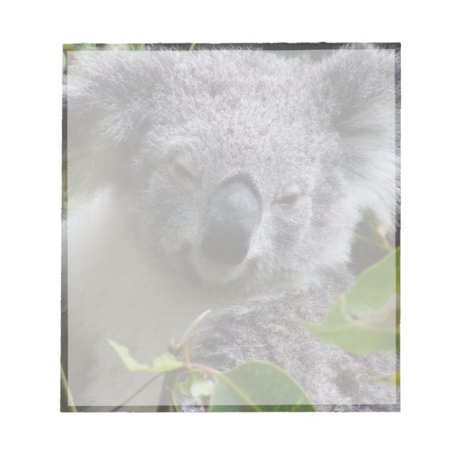 Koala-Notizen Notizblock (Vorderseite)