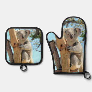 Koala Ofenhandschuh & Topflappen-Set