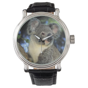 Koala, Phascolarctos cinereus, Australien Armbanduhr