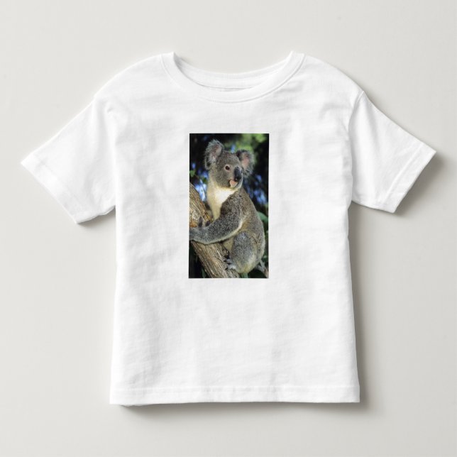Koala, Phascolarctos cinereus, Australien Kleinkind T-shirt (Vorderseite)