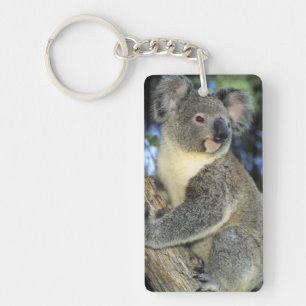 Koala, Phascolarctos cinereus), Australien, Schlüsselanhänger