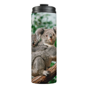 Koala, Phascolarctos cinereus, Frauen, die dich tr Thermosbecher
