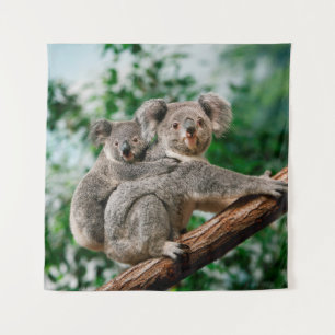 Koala, Phascolarctos cinereus, Frauen, die dich tr Wandteppich