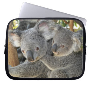 Koala Phascolarctos cinereus Queensland . Laptopschutzhülle