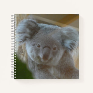 Koala Portrait-Notebook Notizbuch