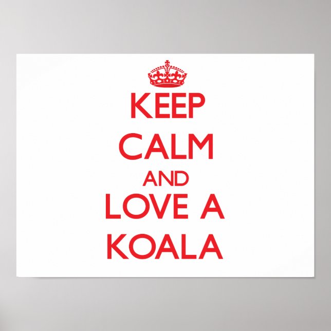 Koala Poster (Vorne)