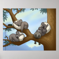 Koala Poster schlafen