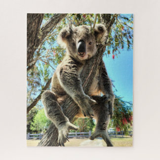 Koala Puzzle