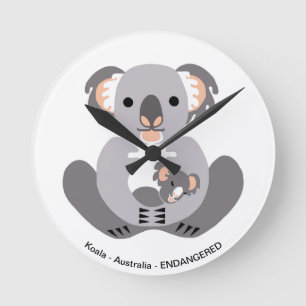 Koala - rund um die Uhr