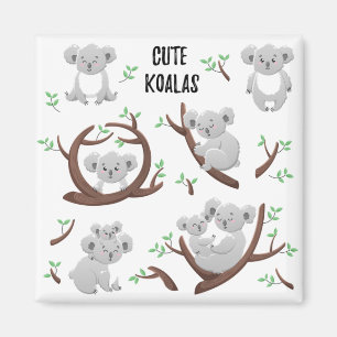 Koala Sammlung trägt Cool Koala , Unterstützung Au Magnet