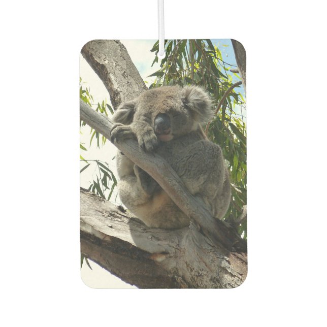 Koala - Schlafen Autolufterfrischer (Vorderseite)
