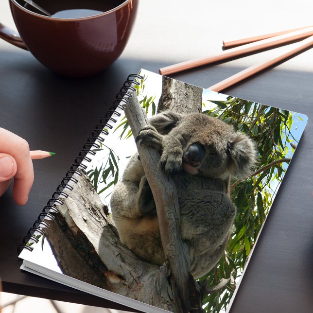 Koala - Schlafen Notizblock (Von Creator hochgeladen)