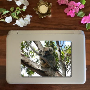 Koala - Schlafen Runder Aufkleber