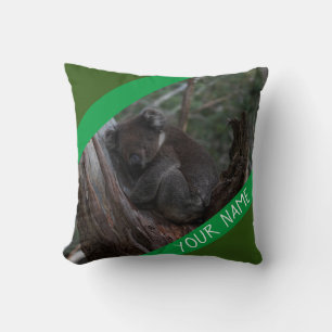 Koala schläft in einem Baumaustralien Kissen