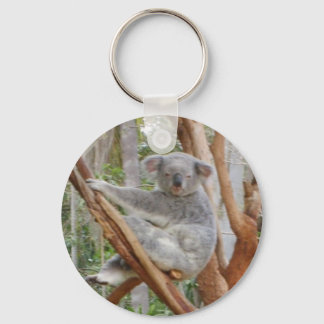 Koala Schlüsselanhänger