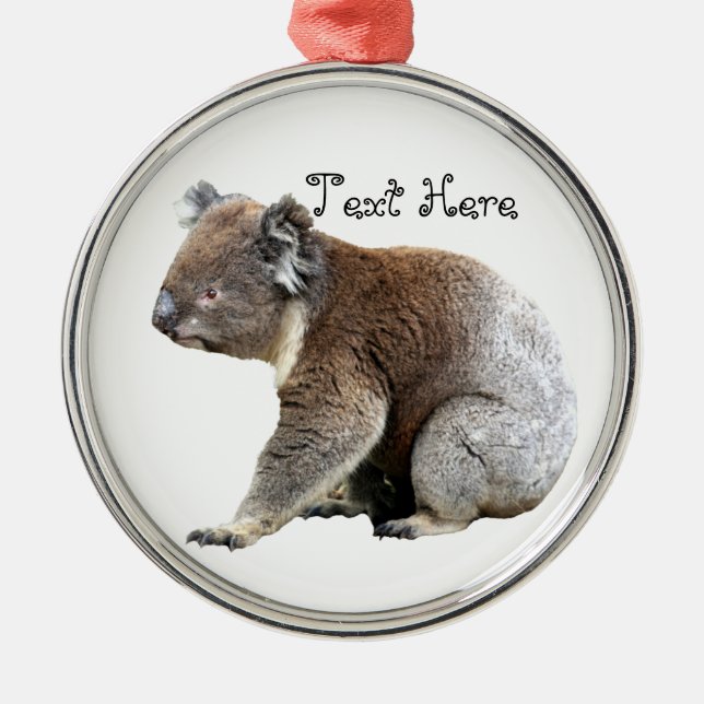 Koala Silbernes Ornament (Vorne)