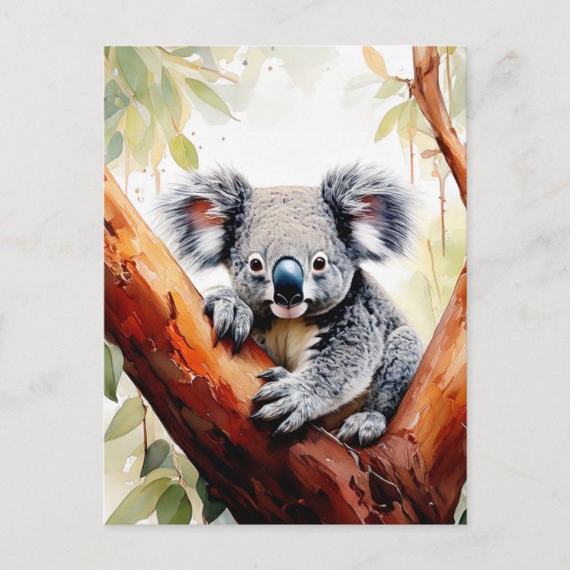 Koala sitzt in einem Kaugummi Postkarte (Vorderseite)