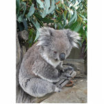 Koala-Skulptur Freistehende Fotoskulptur<br><div class="desc">Koala sind, groß in den Bildern aber verbessern sogar, wann es eine Skulptur ist</div>