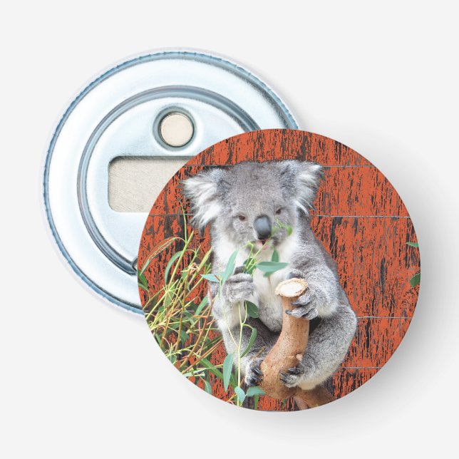Koala Snack Time Flasche Opener Flaschenöffner (Vorderseite)