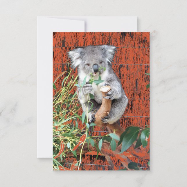 Koala Snack Time Karte (Vorderseite)