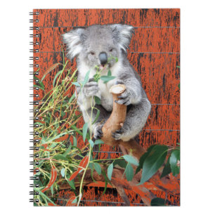 Koala Snack Time Spiral Carnet