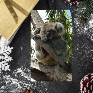 Koala - Spendentags Geschenkanhänger