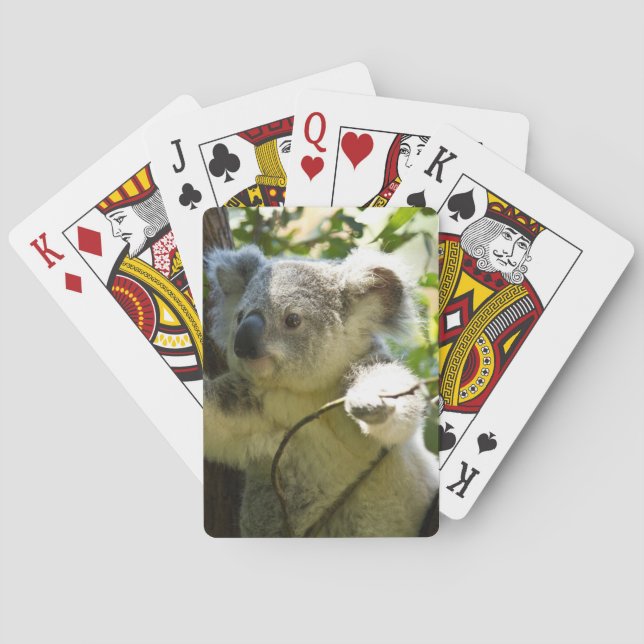 Koala Spielkarten (Rückseite)