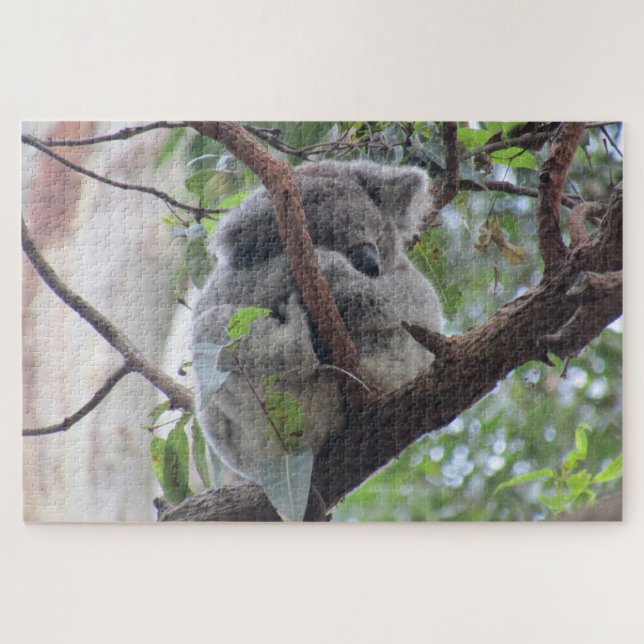 Koala-Süße (Horizontal)